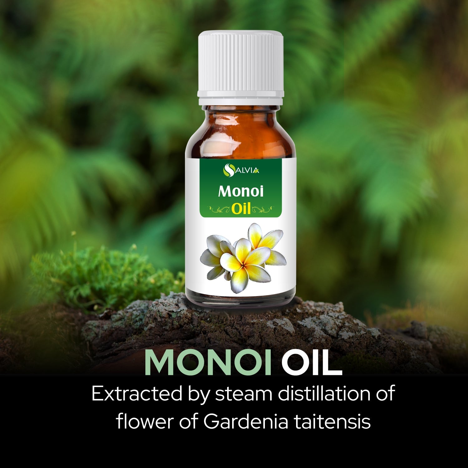 Salvia Natural Essential Oils,Dandruff,Greasy Oil,Anti Fungal,Anti-fungal Oil,Oil for Greasy Hair Monoi Oil Salvia Natural Essential Oils,Dandruff,Greasy Oil,Anti Fungal,Anti-fungal Oil,Oil for Greasy Hair Monoi Oil
